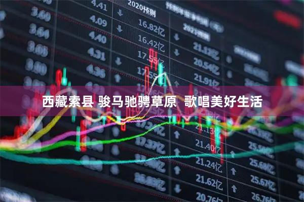 西藏索县 骏马驰骋草原  歌唱美好生活